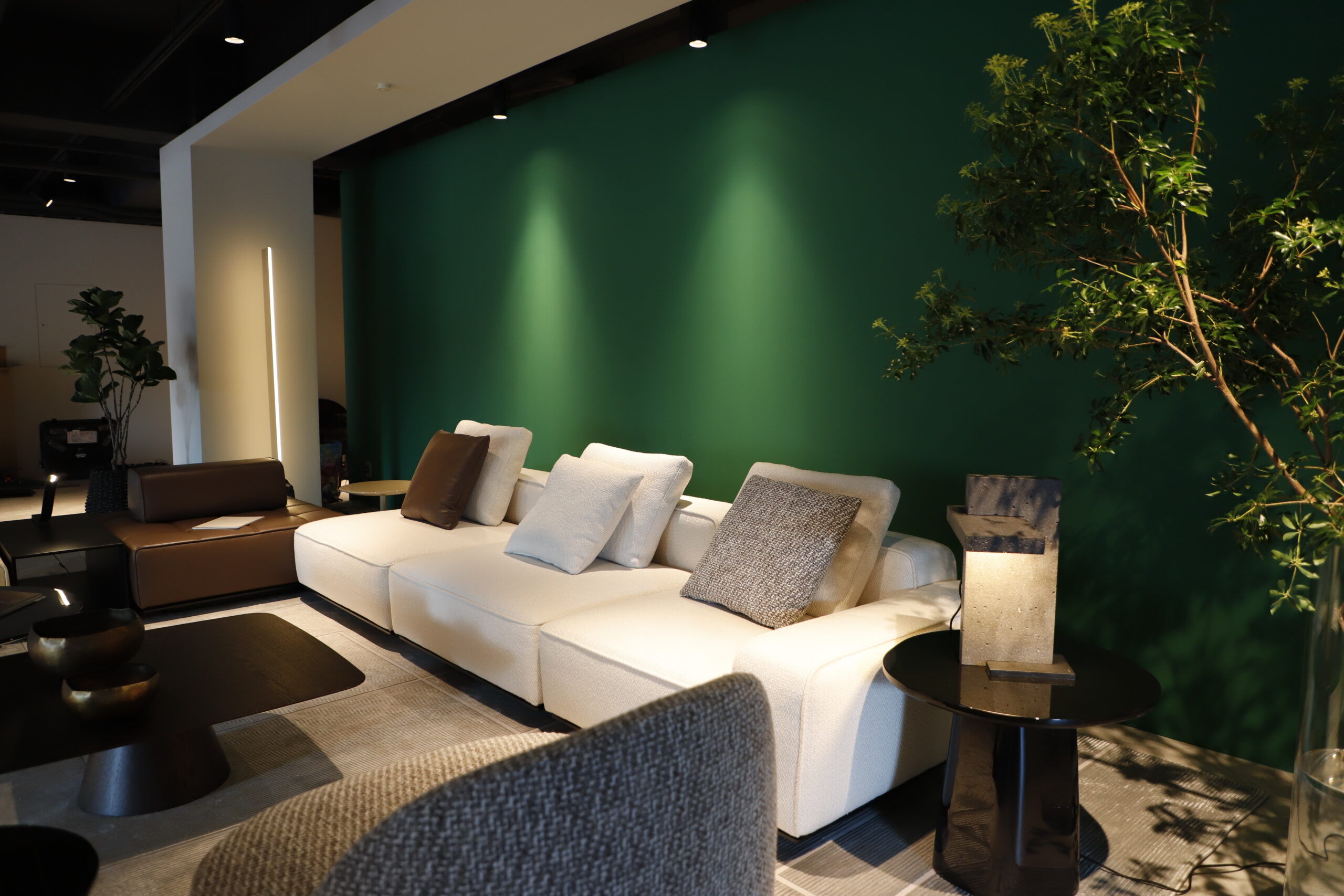 SHOWROOM IMAGE